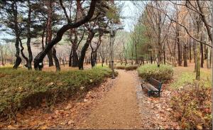 가오근린공원 친환경 힐링공간으로 새단장