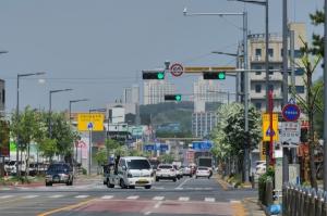 대전 5대 교통법규 집중단속 결과 교통사고 크게 감소