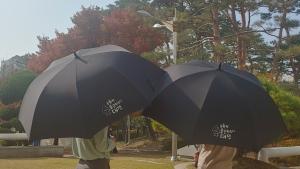 대전 22개 지하철역 우산 무료 대여 서비스 시행